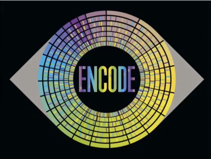 Imagine in neon yellow and purple on a black background, reading "ENCODE"
